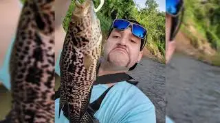BFS Popper Action 3.5g & River Slam (Guabinator, guapote y dajao)