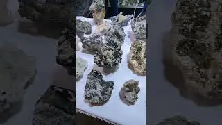 Chunky Cubic Pyrite growing in Quartz #tucsongemshow