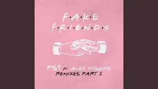 Fake Friends (Fubu Remix)
