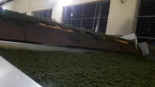Black Tea Manufacturing process at CFM | How to make Black Tea |