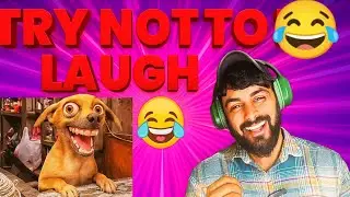 Try Not To Laugh Challenge😂 | Funniest Memes Reaction | Impossible To Control Laugh | Hindi Reaction