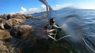 pesca en tampa