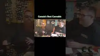 One of Canada's Best Cannabis producer's. Easily.