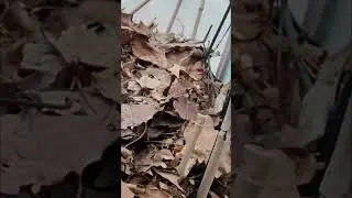 Мульча &mdash; это основная защита, а не укрытие от мороза!
