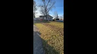 Do you use your mower to help remove leaves?