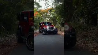 Mahindra Thar Roxx | Ultimate Modification ​⁠@adonzautomotive #thar #tharrox #modified #youtube