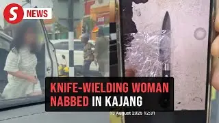 Knife-wielding woman who attacked bystanders in Kajang arrested