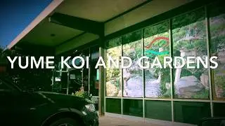 Yume Koi and Gardens