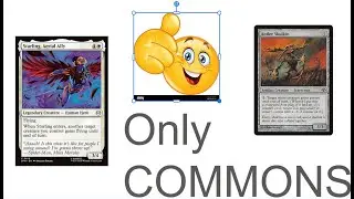I Made A Commander Deck With Only Commons