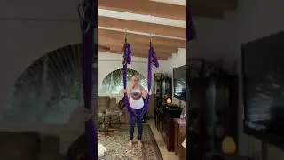 Aerial Yoga Flow