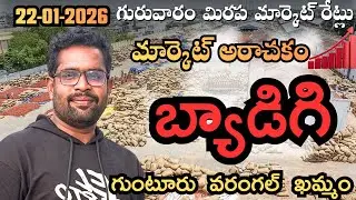 22-01-2026 మార్కెట్ రేట్లు 🌶️ | బ్యాడిగి–గుంటూరు–వరంగల్–ఖమ్మం #mdhasanagritech #viral #trending 
