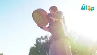 الزيتونة تقطع ولا ماتقطعش...كل ما يهم موسم جني الزيتون في صفاقس