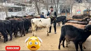 👁️REKOT PARCHALANDI BUNAQASI BOLMAGAN😳NARHLAR TEKIN HISOBIDA BOLDI 💥2026_01_19_yanvar.