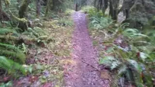 Hike at Goodman Creek
