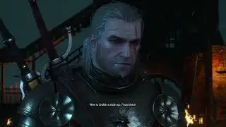 Witcher 3 - Wild Hunt: (Side Quest) Master Armorers Quest &ndash; Geralt vs. Ice Troll in Undvik!