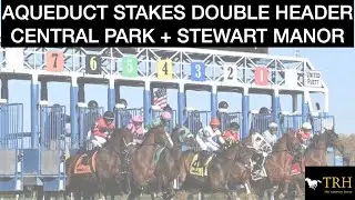 Aqueduct Racetrack 2025 Stakes Analysis: Central Park Stakes + Stewart Manor Stakes Picks