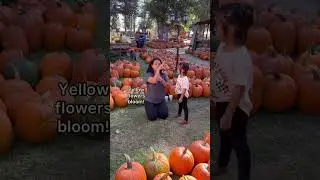 My Deaf Daughter learning about how pumpkin grows