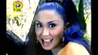 Kembang Kilaras (CUCUN NOVIA)