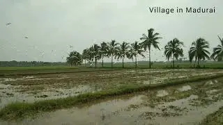Village in Madurai / Tamilnadu / India