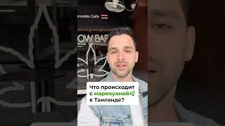 Таиланд легализовал марихуану и теперь закручивает гайки