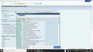 Массовое изменение значения авторизации в SAP Security: PFCGMASSVAL