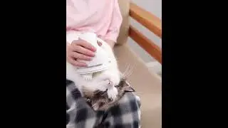 Multifunctional Electric Cat Head Massager