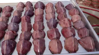 Охота на голубей, очистка и приготовление пищи