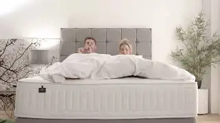Salus Beds The Viscoool Collection