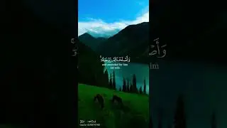 Mashallah Beautiful talawat Quran Majeed | Beautiful voice| |#quran #viralshorts