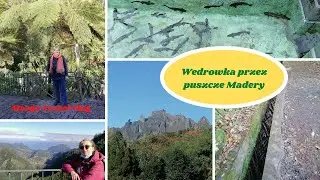 Wschodnia czesc Madery🇵🇹 Nasza pierwsza Lavada🏞️Las wawrzynowy🌿Balcoes - balkon wiokowy