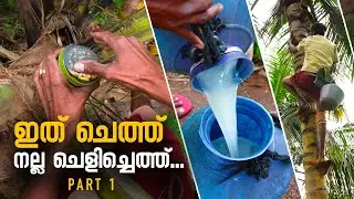 ഇത് ചെത്ത് നല്ല ചെളിച്ചെത്ത്... | Toddy Tapping Method | Kallu Chethu | Chittur Palakkad | Part 1