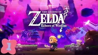 A noob playing Zelda echoes of wisdom for the first time
