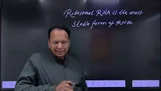 RNA||Er B N Sharda Sir|| concept king