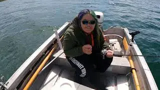 Trout and About