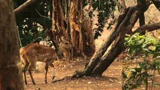 Norman Carr Safaris - Kapani