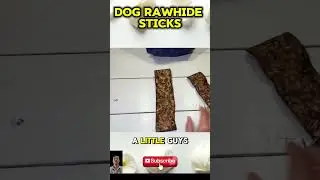 Best Alternatives to Dog Rawhide Sticks &ndash; What Should You Buy Instead