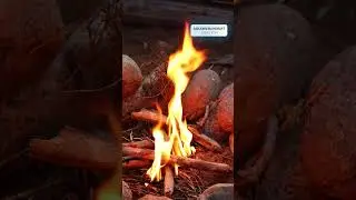 Asbjorn Olsen Berg Bushcraft | Ormanda İlkel Yaşam