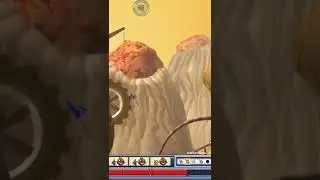When your teammate thinks he's pro - Gunbound Retro CA