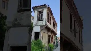 Trilye,