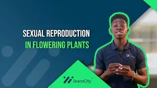 Reproductive Behaviours: Flowering Plants | Methods of Pollination | Agents of Pollination.
