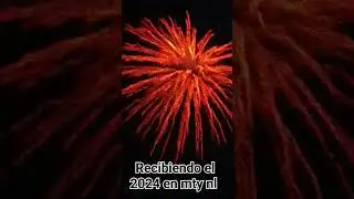 recibiendo el 2024