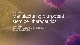 WHITE PAPER: Manufacturing pluripotent stem cell therapeutics