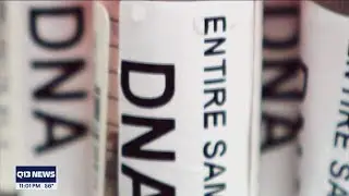 Thousands of DNA profiles missing from the DNA database