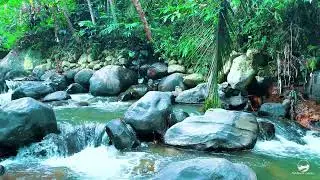 Silent River Evening Ambience | Relaxing Flowing Water Sounds for Meditation, Stress Relief & Calm
