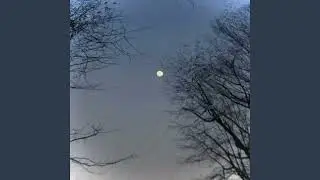 Dontbesam - Sleep Forever
