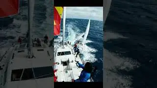 Downwind Disaster! 💨⛵ Near Collision in Wild Wind 🌊⚓ #sailinglife #sailboat