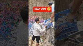 ଏତେ ବାଣ #shorts #video #exclusive #bomb #case #balasore