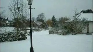 Winterwatch - Rare Baby Ekafian Eagle Bird In Tree - Webcam