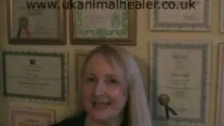 UK Animal Healer