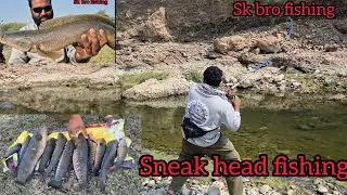 Sneak head fishing #fishingvideo #fishing #maral #sneakhead 
